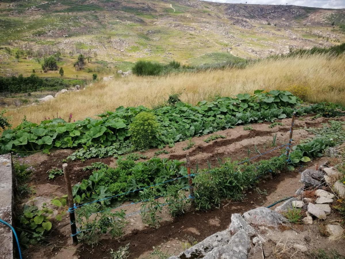 Quinta Do Chaozinho Alijó